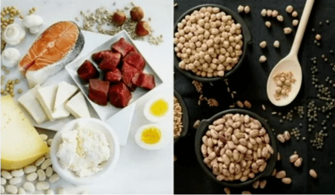 Examples of protein dietary products