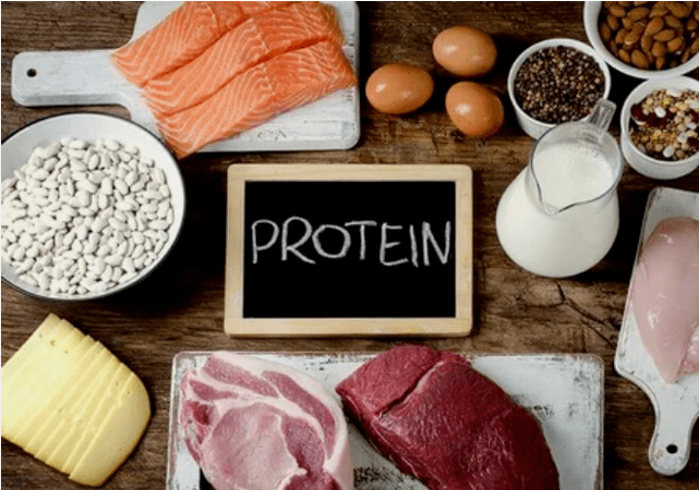 Protein dietary products