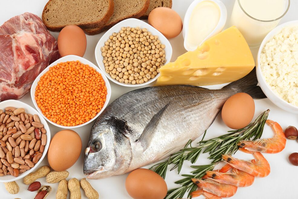Features of the protein diet